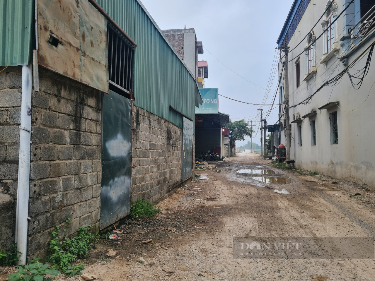 Hà Nội: 4 lò mổ trong 1 con ngõ, chất thải đổ tràn ra đường, người dân sống trong ám ảnh - Ảnh 2.