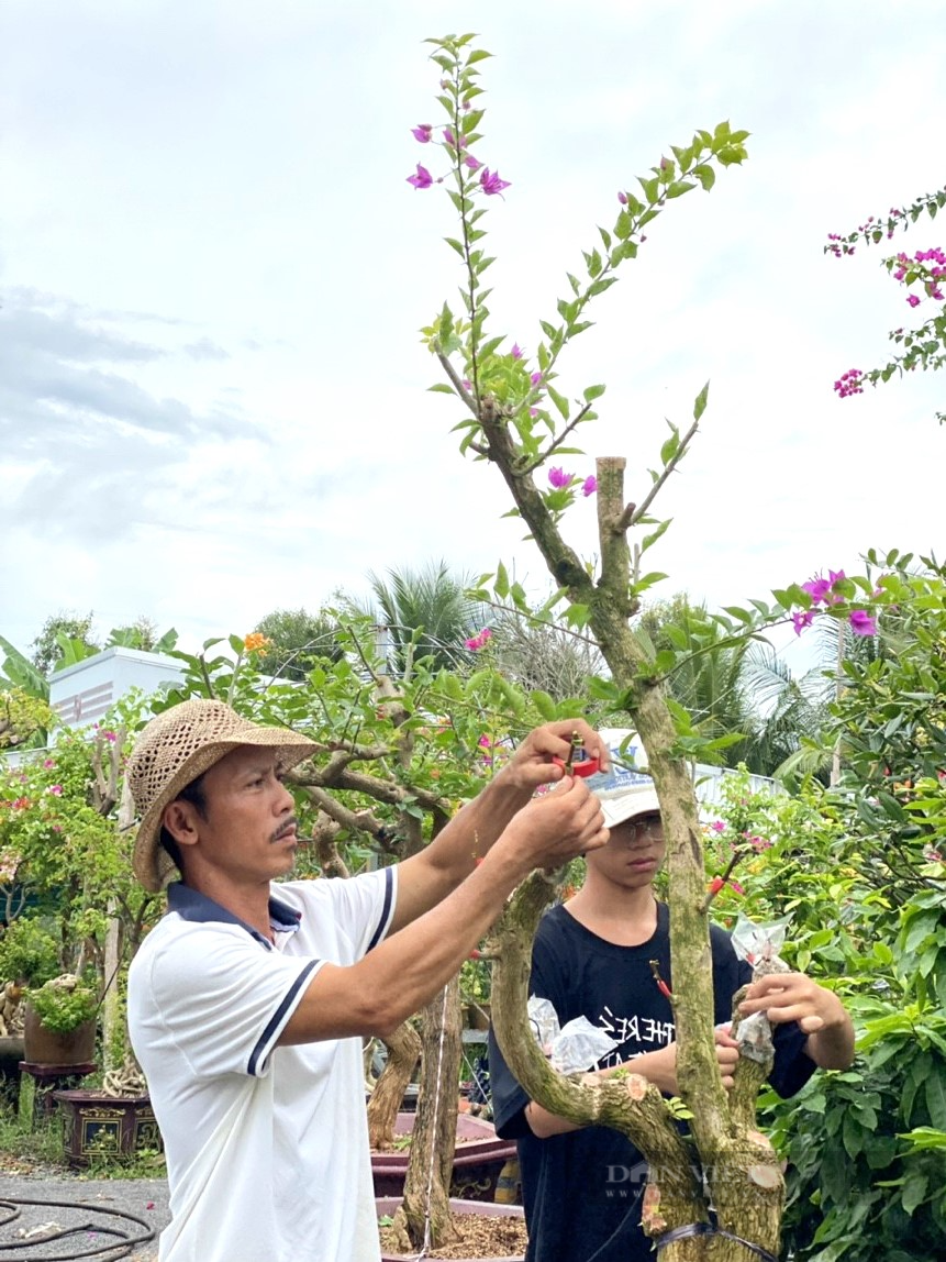 Người đàn ông sở hữu bộ sưu tập bông giấy thuần Việt tiền tỷ - Ảnh 3.