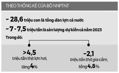 Người nuôi lợn lại lâm cảnh thua lỗ, nợ nần - Ảnh 3.