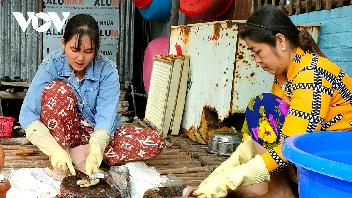 Khô cá thòi lòi đắt khách, người dân Đất Mũi làm không đủ bán   - Ảnh 2.