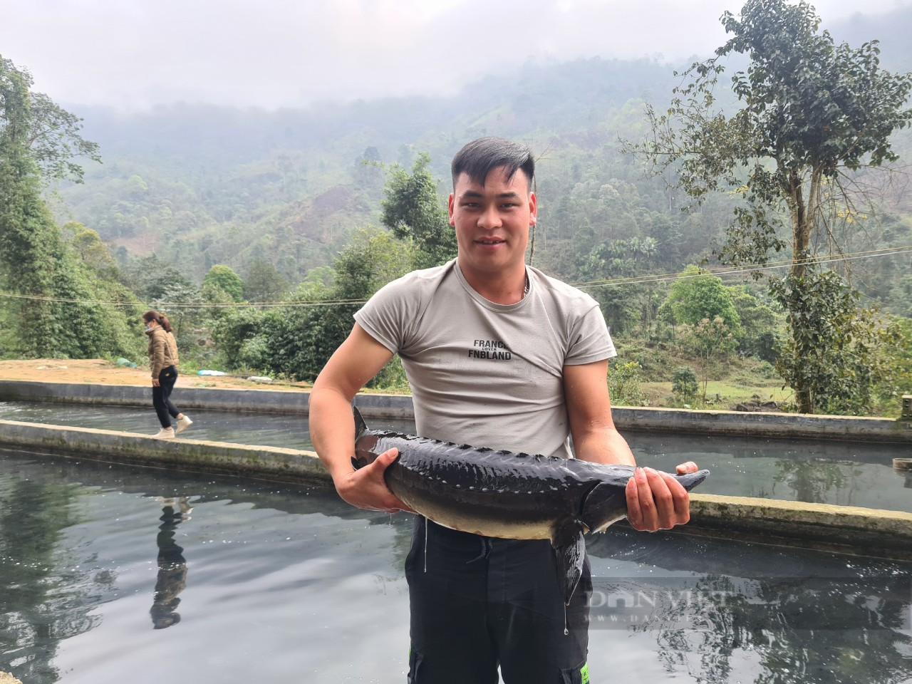 Anh nông dân người Dao thu tiền tỷ nhờ mang loài cá “hình tầu ngầm” nuôi trên đỉnh Tây Côn Lĩnh - Ảnh 1.