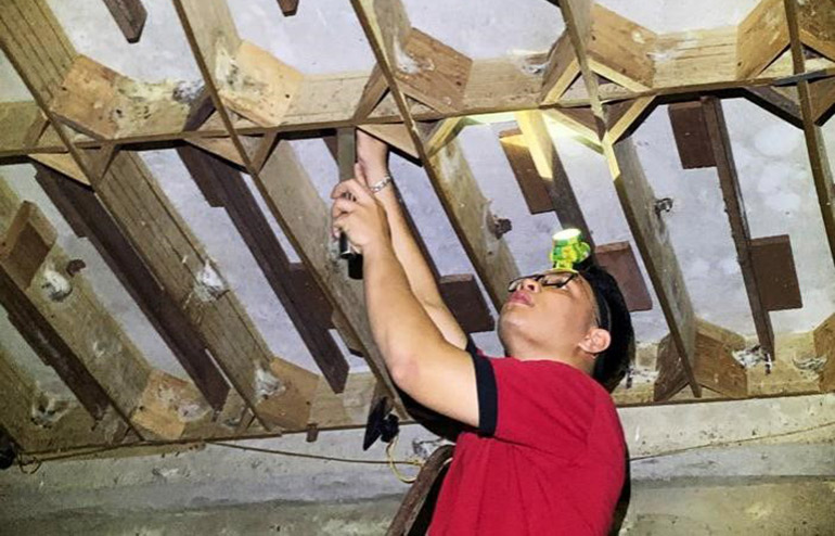 Đàn &quot;chim tiền tỷ&quot; ở tỉnh Phú Yên mỗi năm &quot;nhả&quot; ra 2 tấn tổ yến, thứ thực phẩm tốt nhất thế giới - Ảnh 1.