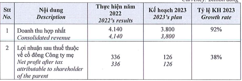 Đất Xanh Services (DXS) đặt mục tiêu lãi giảm mạnh cho năm 2023, không chia cổ tức năm 2022 - Ảnh 1.