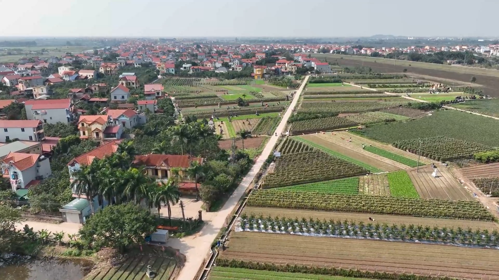 Nguyên nhân khiến nhiều phiên đấu giá đất tổ chức không thành công? - Ảnh 1.