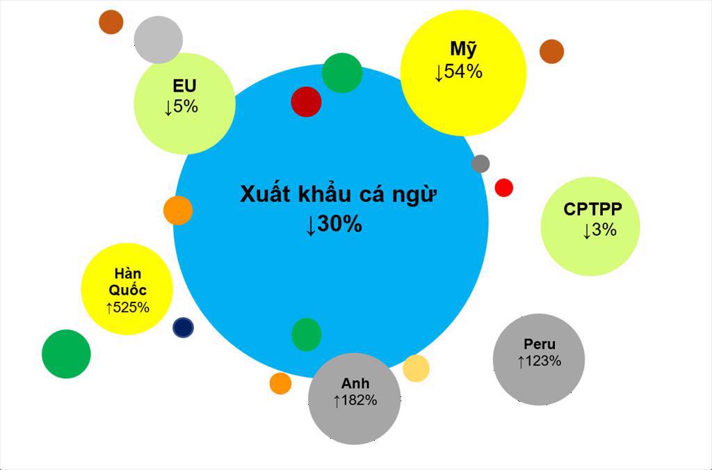 Xuất khẩu cá ngừ sang thị trường nhỏ bất ngờ tăng vọt - Ảnh 1. Xuất khẩu cá ngừ sang thị trường nhỏ bất ngờ tăng vọt - Ảnh 1.