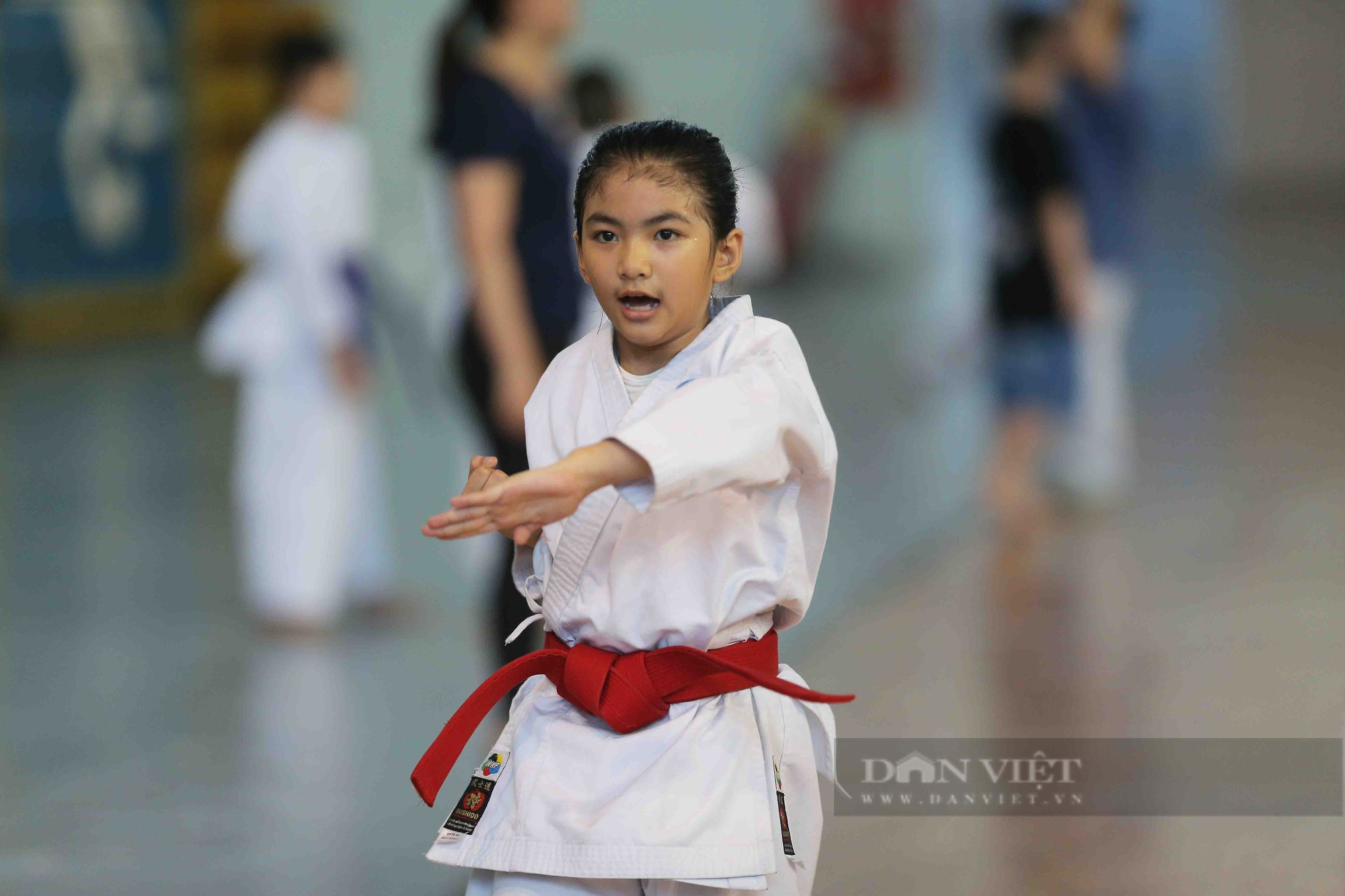 Ấn tượng những màn trình diễn siêu cute của các võ sĩ karate nhí - Ảnh 4.