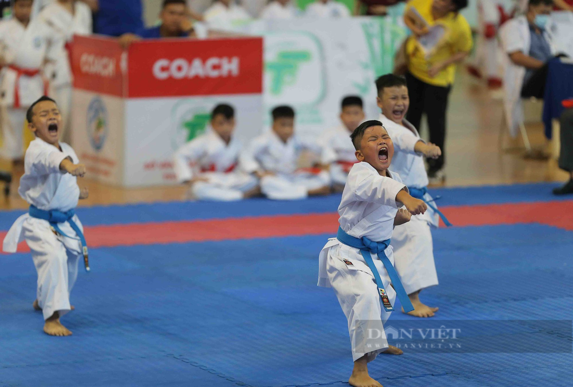 Ấn tượng những màn trình diễn siêu cute của các võ sĩ karate nhí - Ảnh 8.
