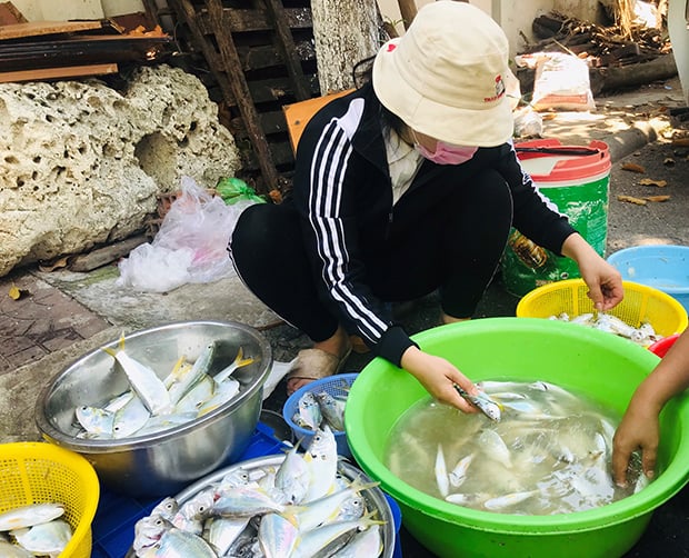 Đây là 2 loài cá đang có nhiều ở biển Bình Định, dân ra đánh bắt, có bao nhiêu thương lái khuân hết sạch - Ảnh 1.