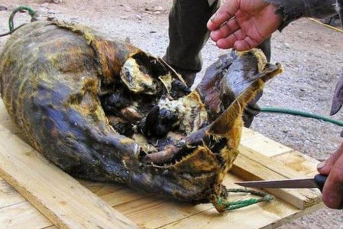 Top 10 món ăn kinh dị nhất thế giới - Ảnh 3.