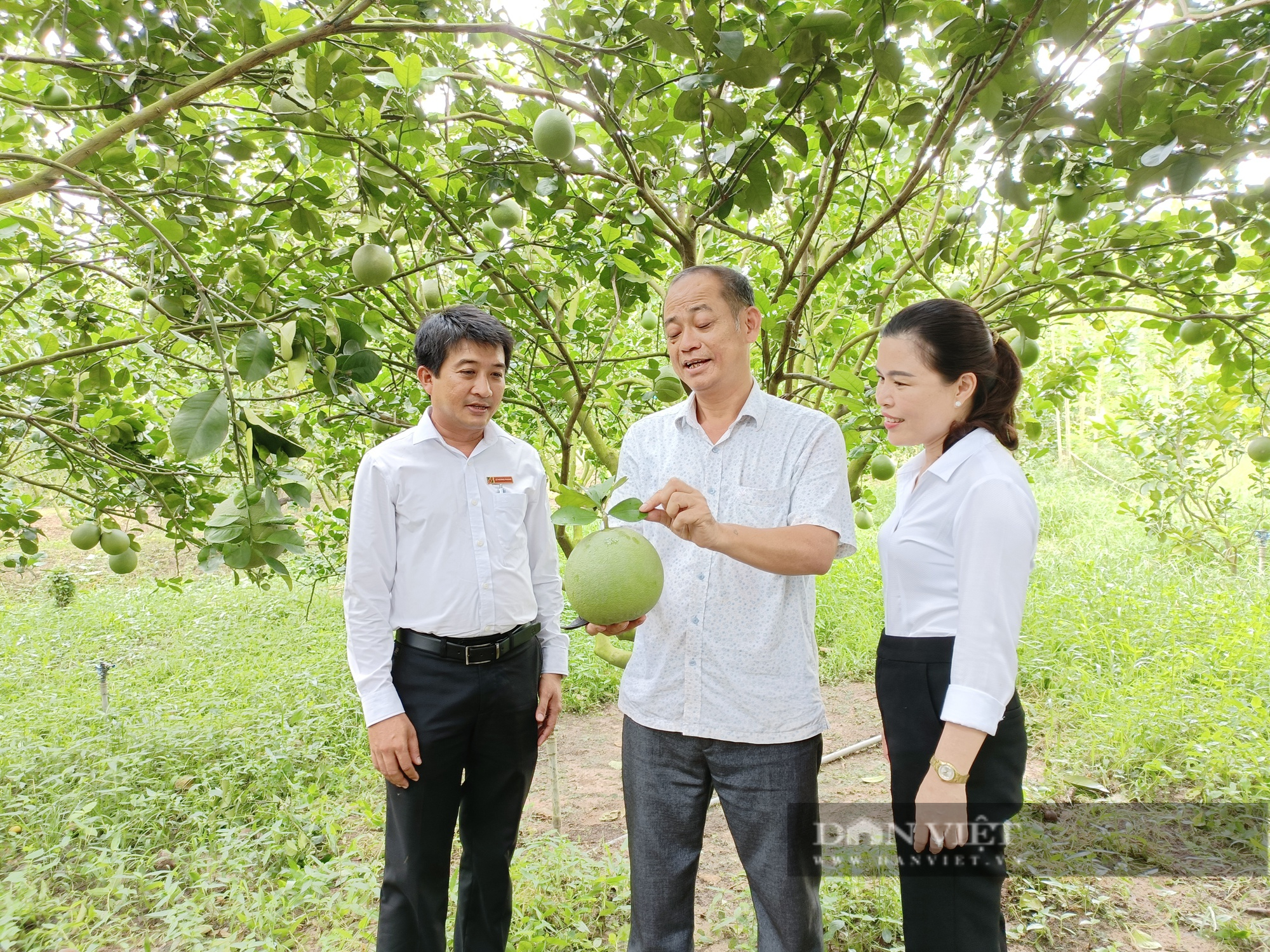 Vì sao nhiều mô hình nông nghiệp &quot;thui chột&quot; sau khi Nhà nước không tiếp tục hỗ trợ vốn? - Ảnh 2.