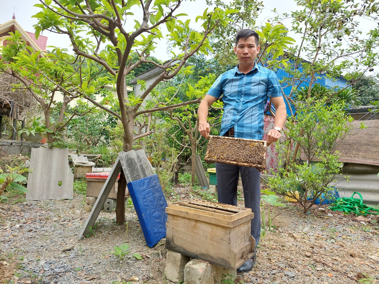 Hải Phòng: Nguồn lực từ Ngân hàng chính sách xã hội góp phần đồng hành cùng nông dân xây dựng thương hiệu sản phẩm - Ảnh 2.