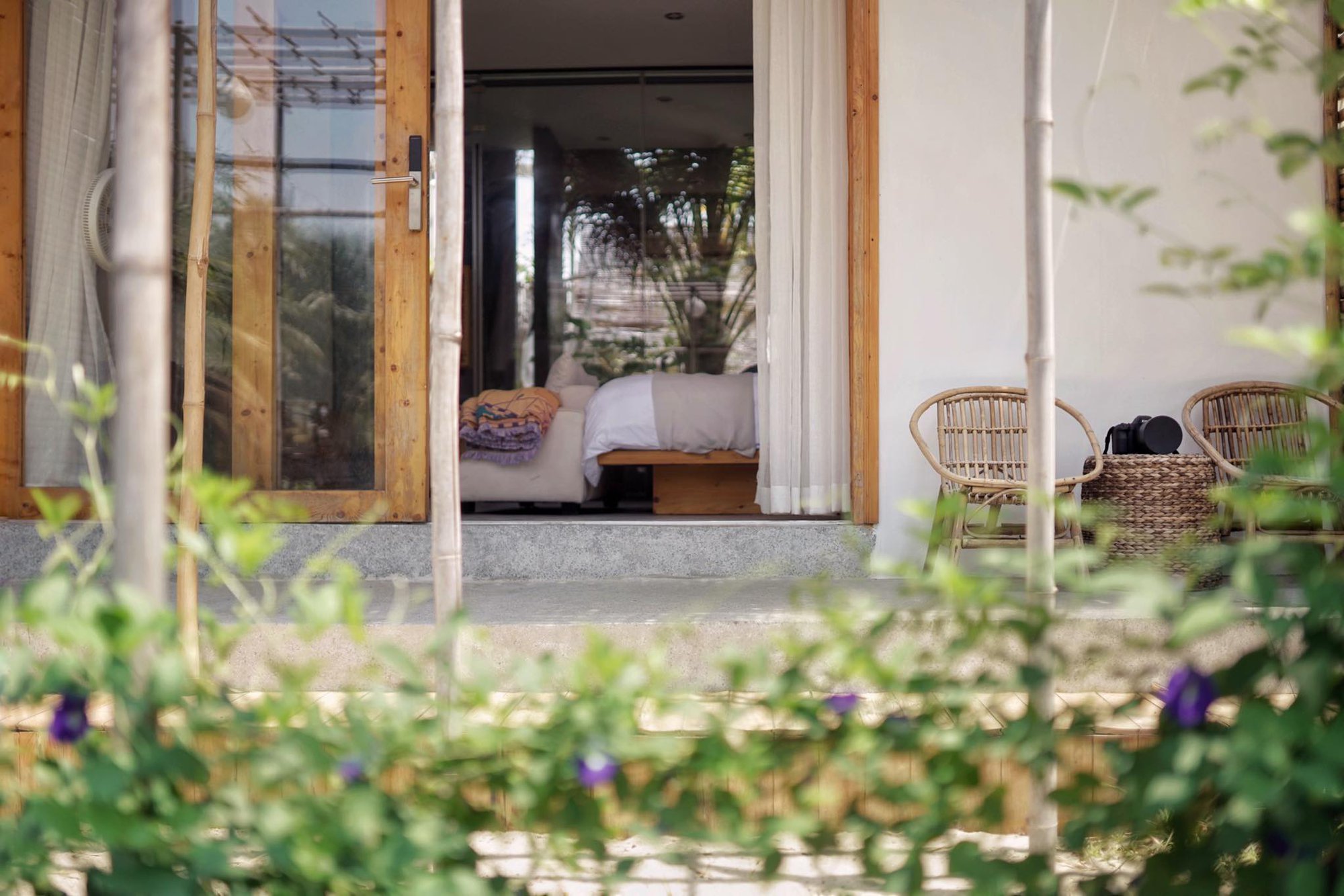 Ấn tượng ngôi nhà vườn xanh mướt rộng 1.900m2 con trai dành tặng mẹ - Ảnh 9.