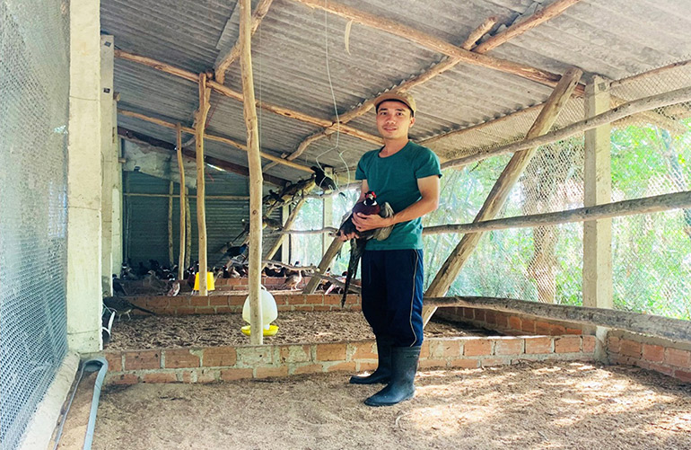 Nuôi thành công loài chim quý hiếm dáng đẹp, anh nông dân Phú Yên bán đắt như tôm tươi - Ảnh 2.