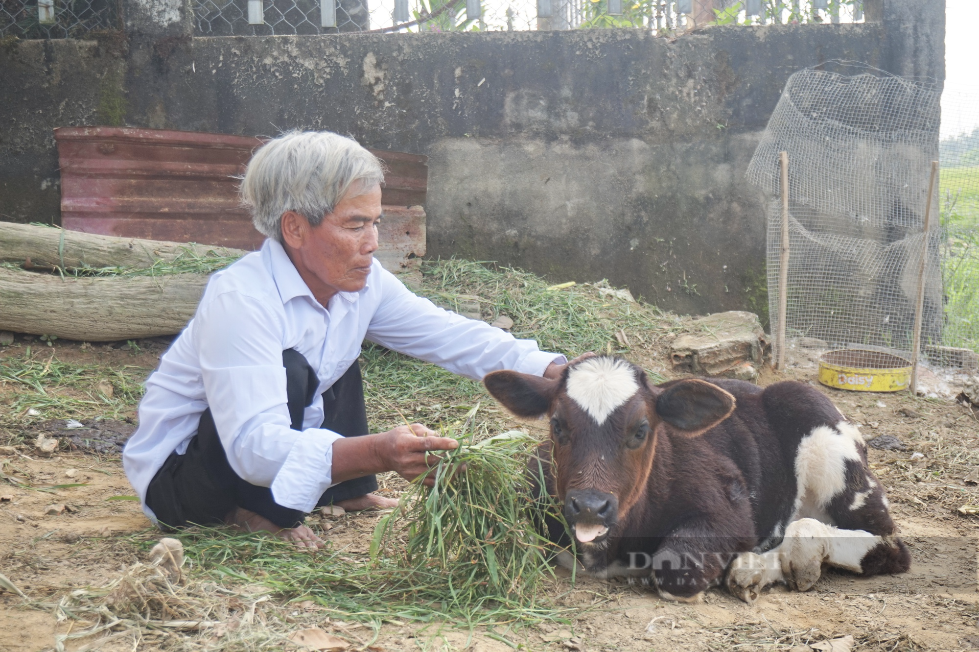 Nghị lực phi thường của lão nông xứ Quảng tự “vẽ” lại tương lai cho đời mình - Ảnh 8.