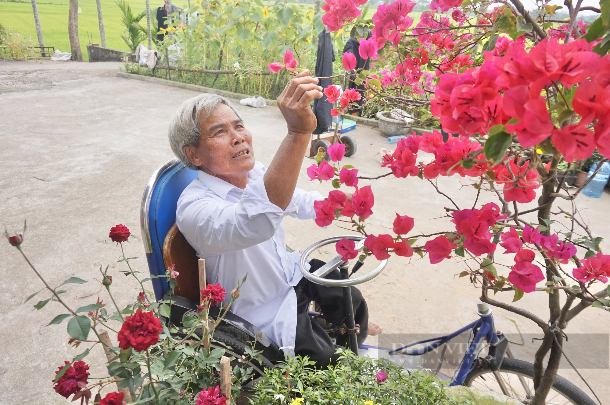 Nghị lực phi thường của lão nông xứ Quảng tự “vẽ” lại tương lai cho đời mình - Ảnh 7.