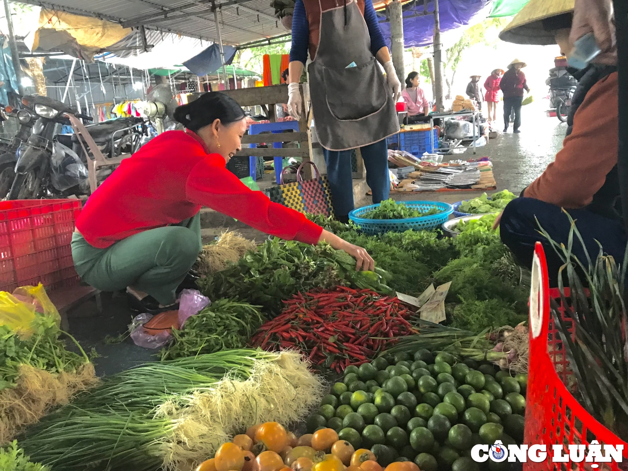 Hà Nội: Nguồn cung dồi dào, giá rau xanh và thực phẩm tươi sống giảm đồng loạt - Ảnh 1.