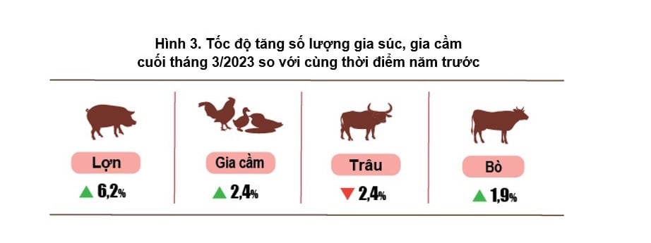 Tháng 3, giá cá tra duy trì ở mức cao, sản lượng thu hoạch đạt 128,6 nghìn tấn, tăng 2,5% - Ảnh 2.