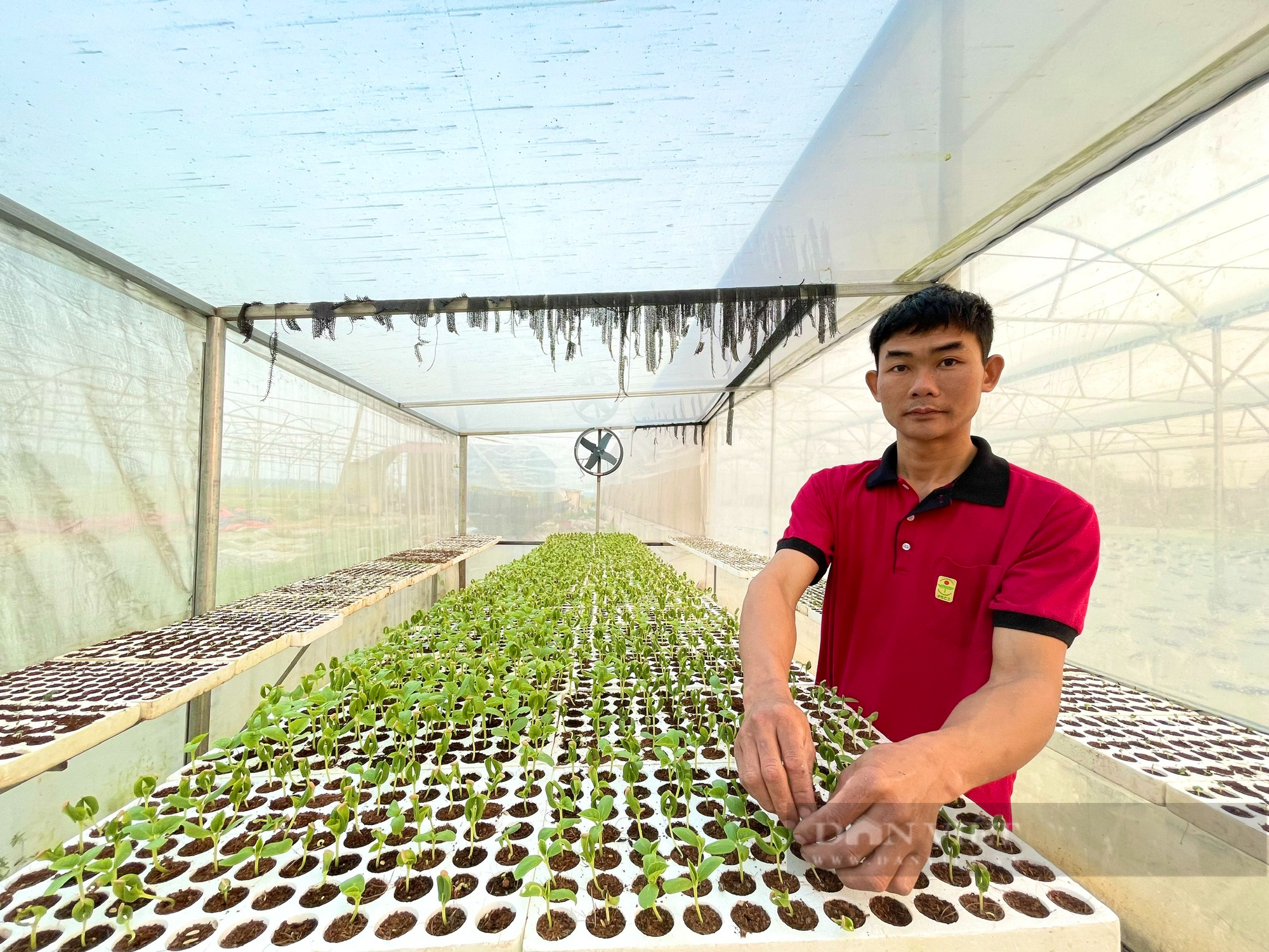 Quảng Bình: 9X bỏ việc nhà nước về trồng dưới lưới công nghệ cao trong nhà màng, đút túi hàng trăm triệu mỗi năm - Ảnh 3.