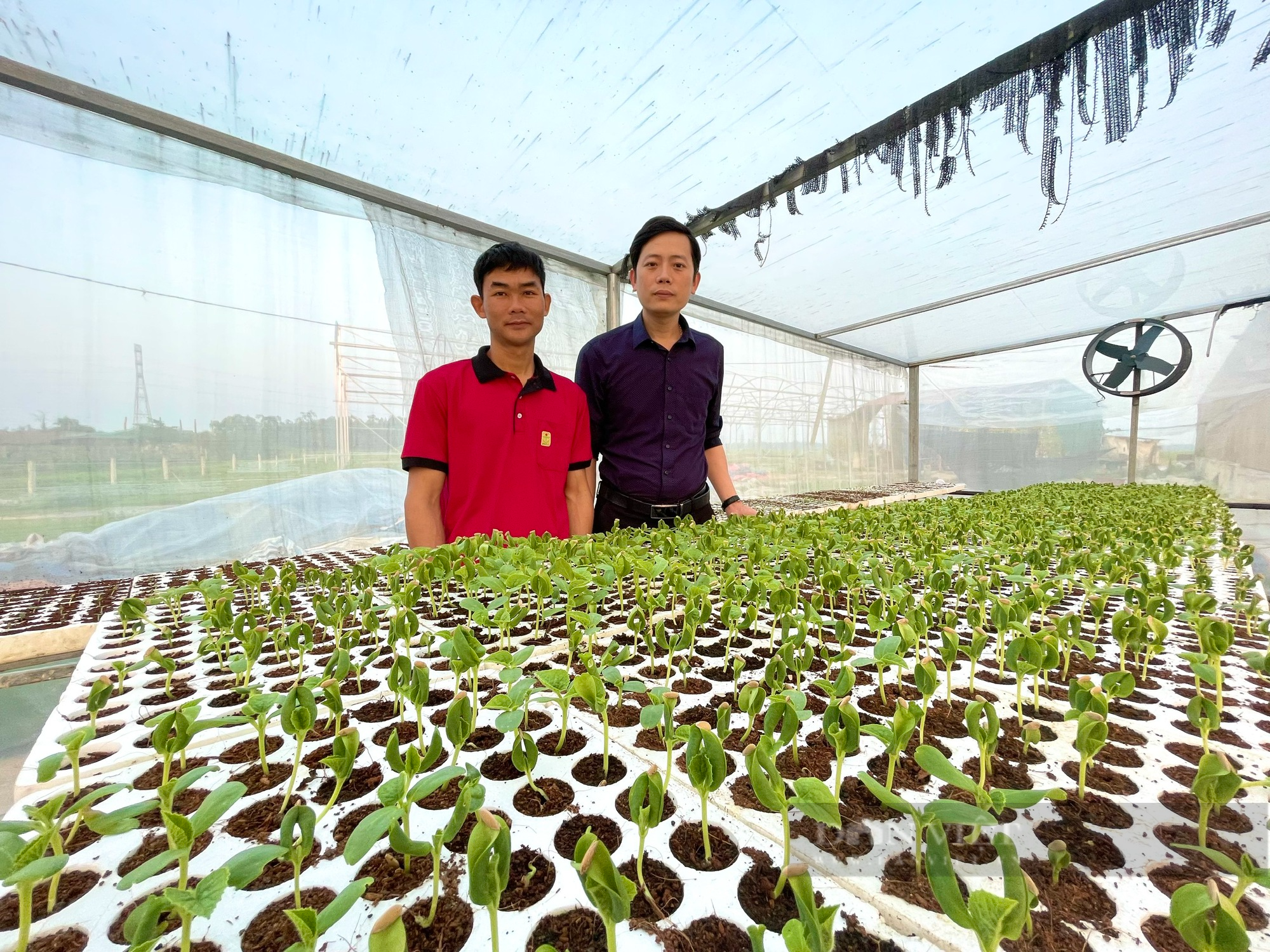 Quảng Bình: 9X bỏ việc nhà nước về trồng dưới lưới công nghệ cao trong nhà màng, đút túi hàng trăm triệu mỗi năm - Ảnh 4.