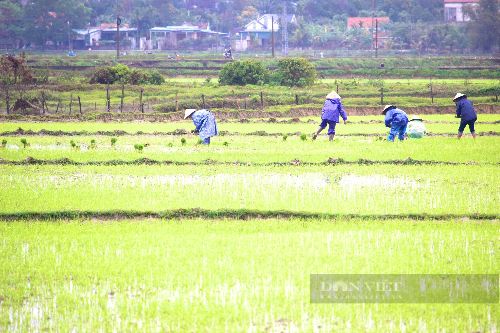 Quảng Bình: Hàng trăm hộ dân không nhận tiền đền bù giải phóng mặt bằng cao tốc - Ảnh 2.