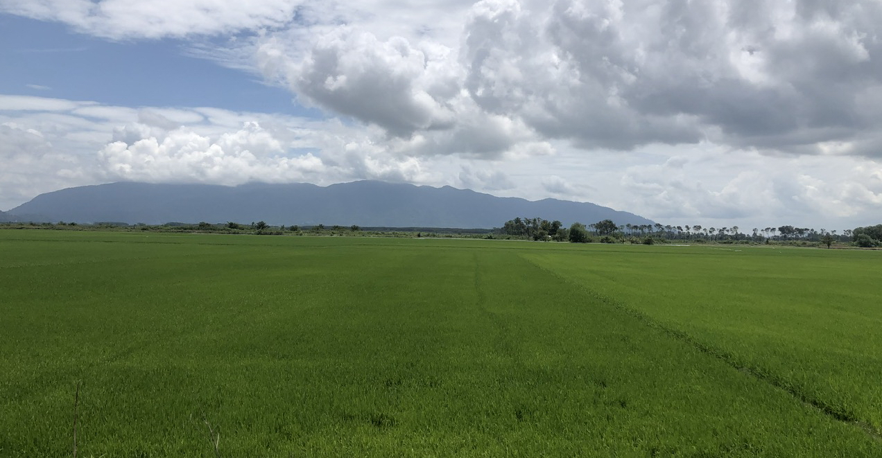 Chính quyền bắt tay cùng bưu điện tiêu thụ nông dân cho nông dân, lợi cả đôi đường - Ảnh 1.