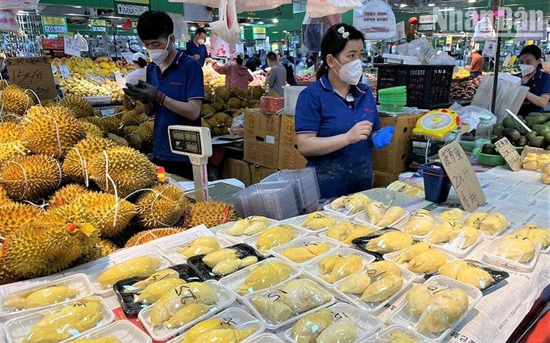 Kỳ vọng sầu riêng trở thành trái cây tỷ USD xuất khẩu sang Trung Quốc - Ảnh 2. Kỳ vọng sầu riêng trở thành trái cây tỷ USD xuất khẩu sang Trung Quốc - Ảnh 2.