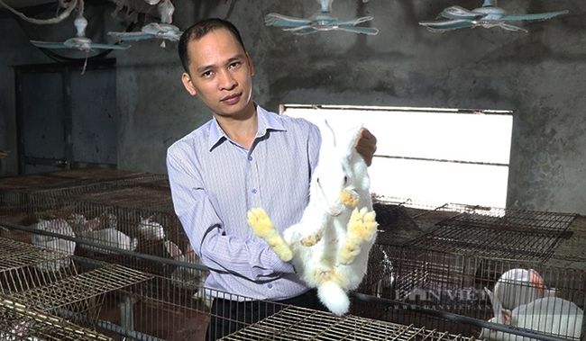 Nuôi thỏ, trồng rau an toàn, nông huyện Tiên Du ở Bắc Ninh nhanh khá giả, có hộ nông dân xây được nhà tiền tỷ - Ảnh 1.