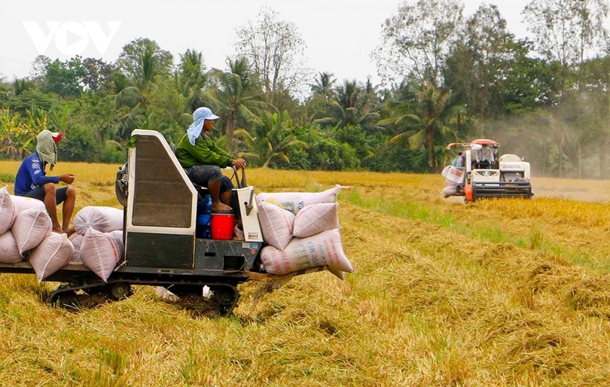 Xuất khẩu gạo sang Indonesia tăng đột biến, Bộ Công Thương khuyến cáo rủi ro - Ảnh 1. Xuất khẩu gạo sang Indonesia tăng đột biến, Bộ Công Thương khuyến cáo rủi ro - Ảnh 1.