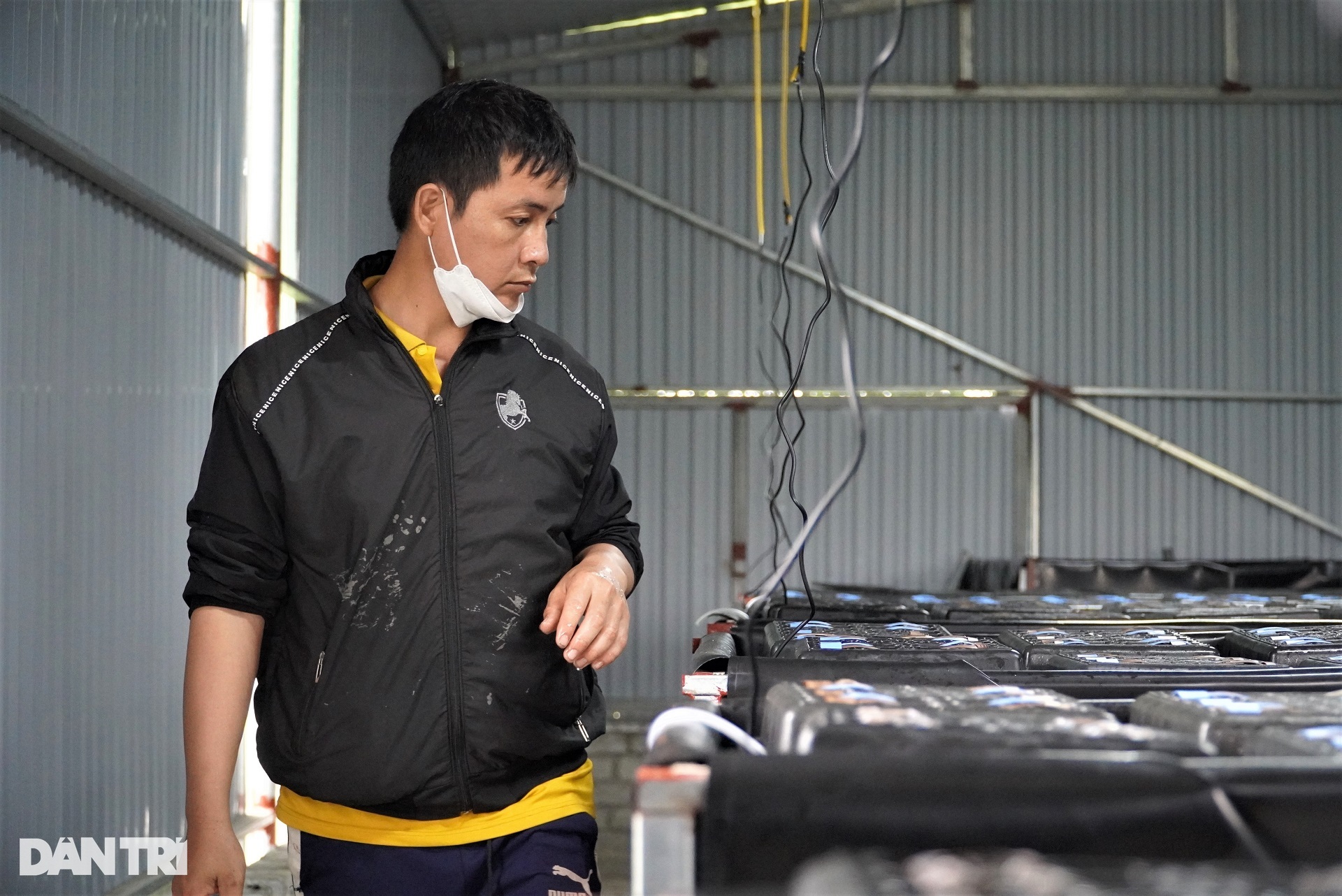 Cua biển "độc thân", ở "nhà tầng", cứ 500 con mang lại 100 triệu đồng - Ảnh 8. Cua biển "độc thân", ở "nhà tầng", cứ 500 con mang lại 100 triệu đồng - Ảnh 8.