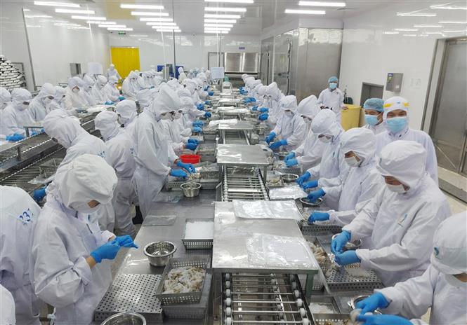 Nhiều doanh nghiệp vẫn khó khăn, kỳ vọng cải thiện trong quý II/2023 - Ảnh 1.