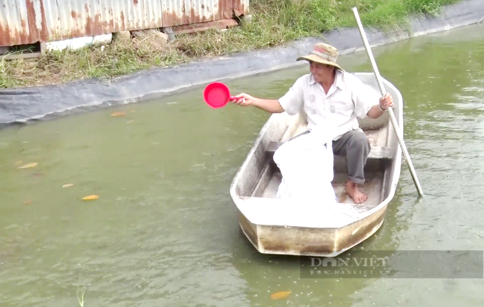 Ương giống cá không vẩy, có loại Việt Nam xuất khẩu tỷ đô, ông nông dân Tiền Giang đút túi nửa tỷ mỗi năm - Ảnh 1.