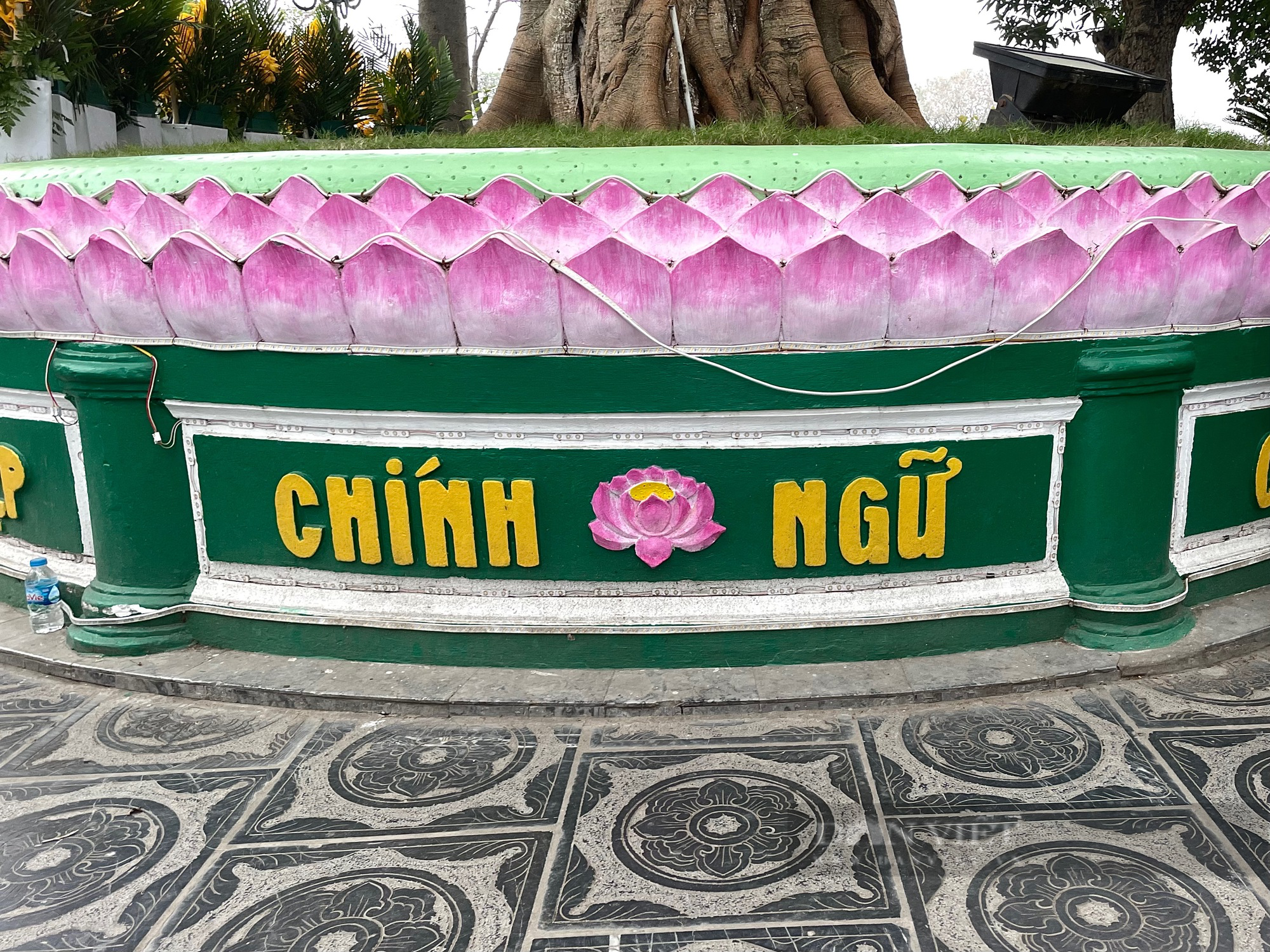 Chuyện giờ mới tiết lộ về cây cổ thụ nằm trong ngôi chùa cổ ở Hà Nội - Ảnh 7.