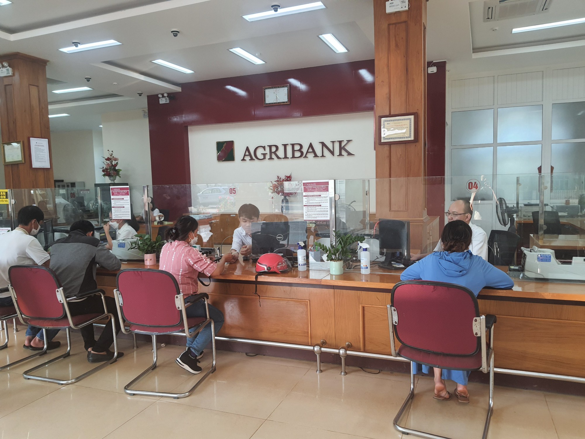 Nông dân Quảng Trị ăn nên làm ra nhờ vốn vay của Agribank - Ảnh 2.