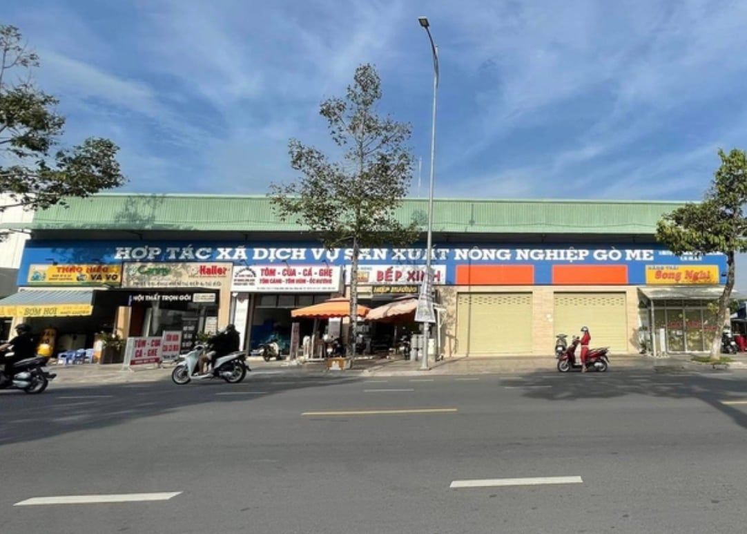Đồng Nai khẳng định 73 sổ đỏ tại Hợp tác xã Gò Me được cấp đúng - Ảnh 1.