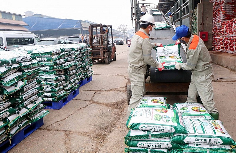 Giá phân bón giảm mạnh doanh nghiệp và nông dân chia sẻ khó khăn - Ảnh 1. Giá phân bón giảm mạnh doanh nghiệp và nông dân chia sẻ khó khăn - Ảnh 1.