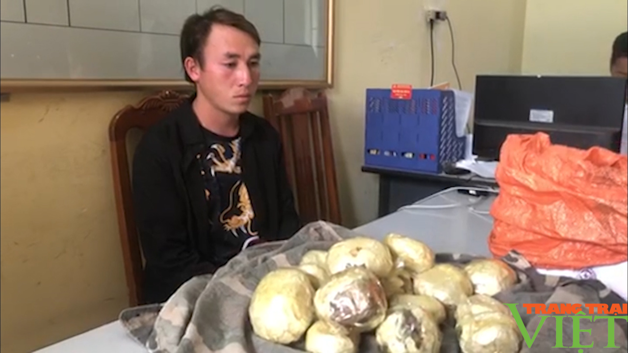 Bắt giữ nam thanh niên mua bán số lượng lớn thuốc phiện - Ảnh 3. Bắt giữ nam thanh niên mua bán số lượng lớn thuốc phiện - Ảnh 3.