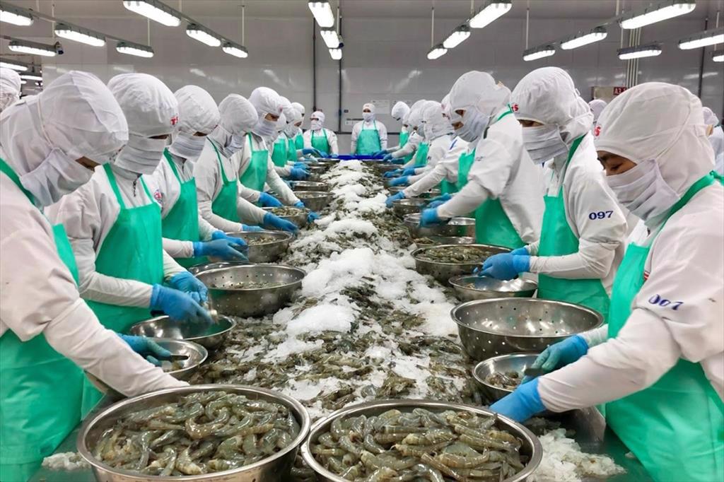 Gỡ khó trong giao thương nông, thủy sản Việt Nam - Trung Quốc - Ảnh 6.