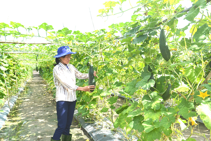 TP.HCM không phát triển đô thị theo kiểu tự phát, dàn hàng ngang - Ảnh 1.