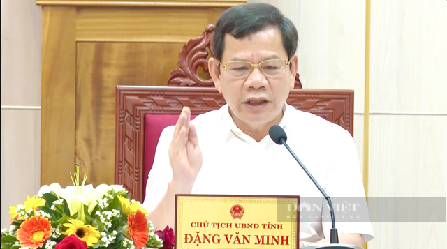 Lơ là thực hiện nhiệm vụ Chủ tịch tỉnh Quảng Ngãi giao, Sở TNMT bị nhắc nhở - Ảnh 3.