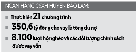 Vốn tín dụng chính sách“đuổi” nghèo ở Bảo Lâm - Ảnh 2.