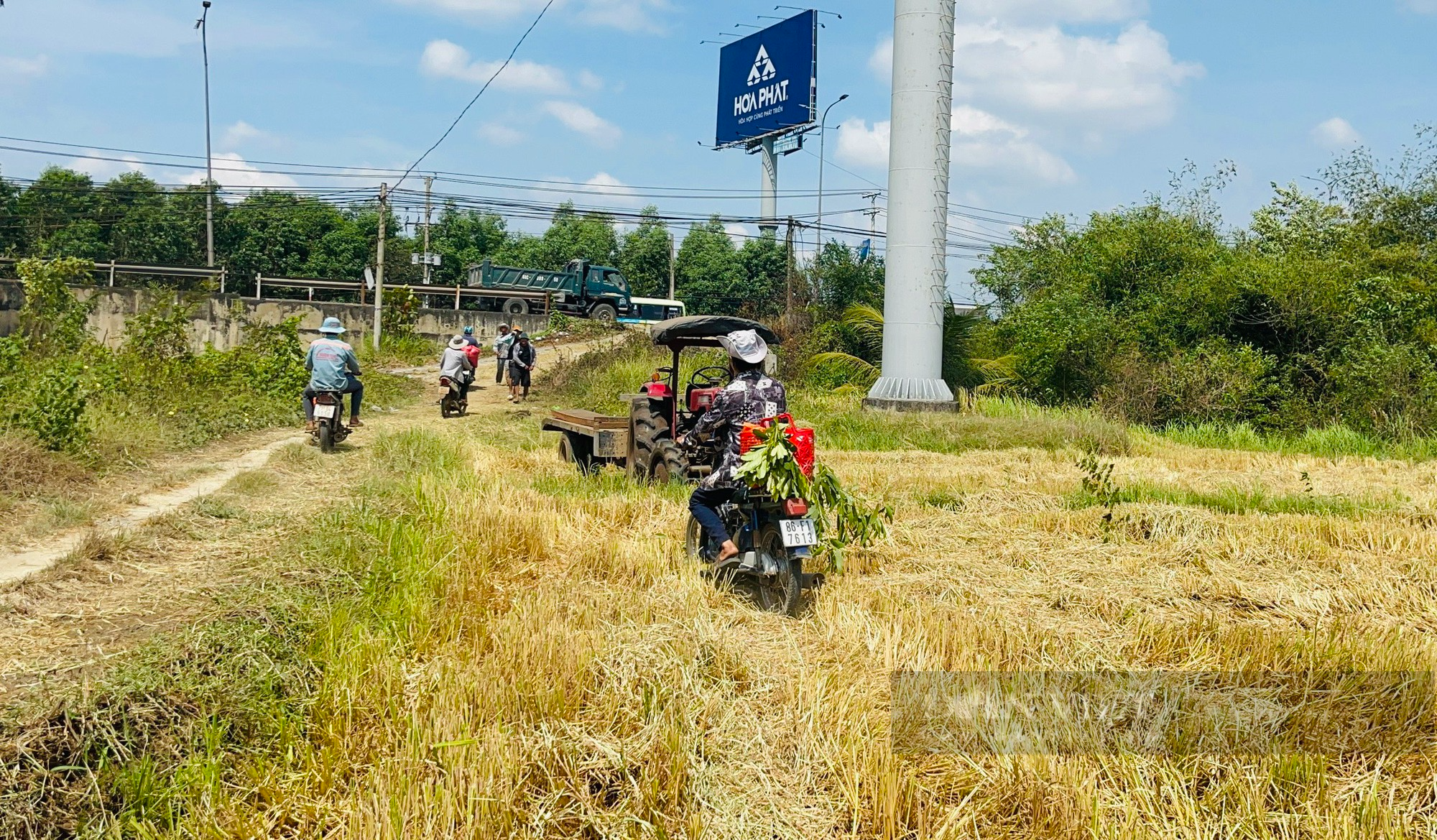Ảnh: Nhộn nhịp vụ lúa Đông Xuân bội thu ở Đồng Nai - Ảnh 4.