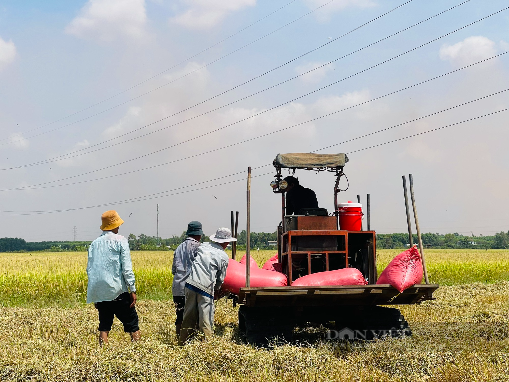 Ảnh: Nhộn nhịp vụ lúa Đông Xuân bội thu ở Đồng Nai - Ảnh 12.