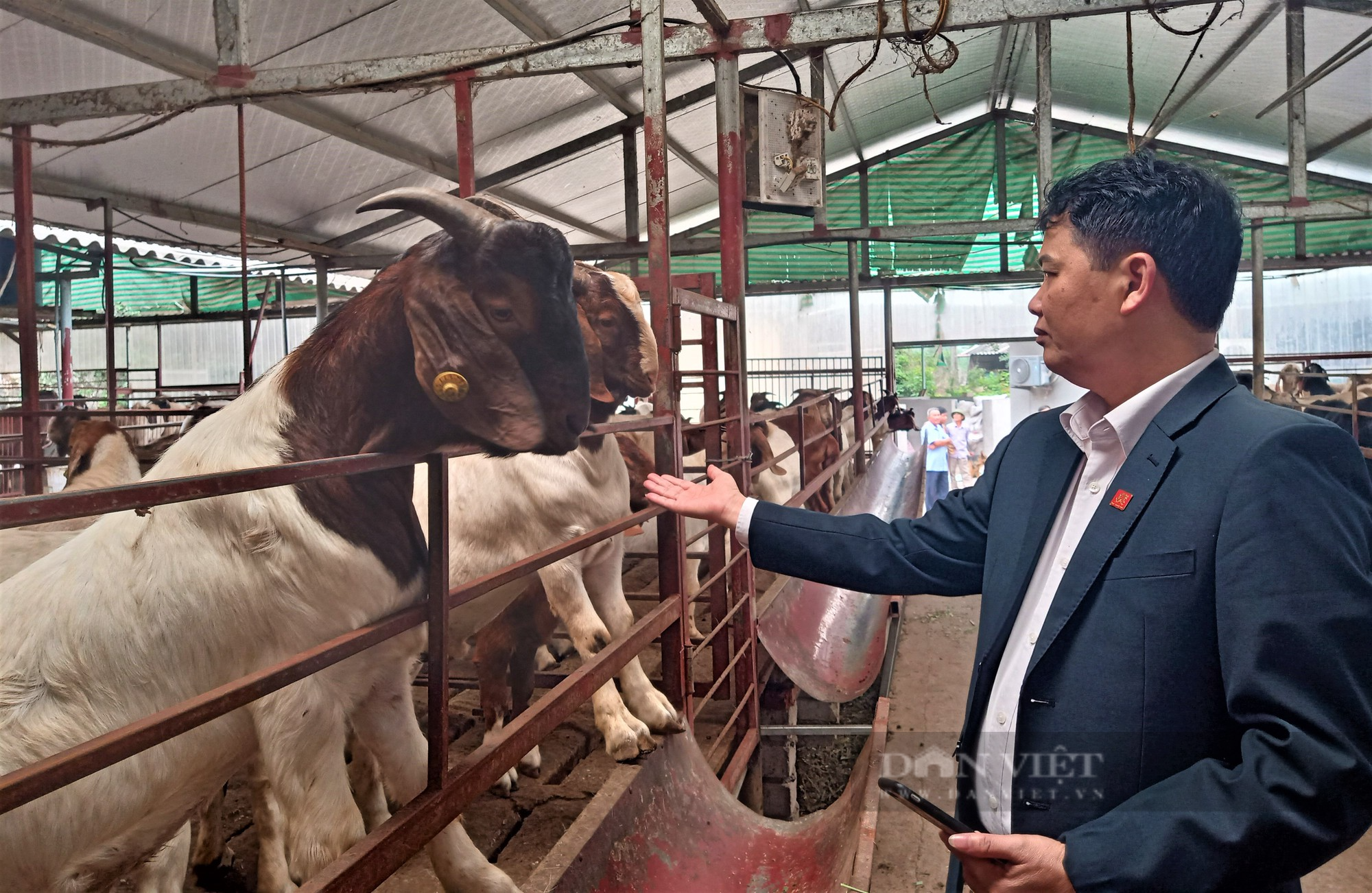 Hải Dương: Ra mắt chi hội nghề nghiệp chăn nuôi dê thương phẩm, giúp nông dân làm giàu - Ảnh 2.