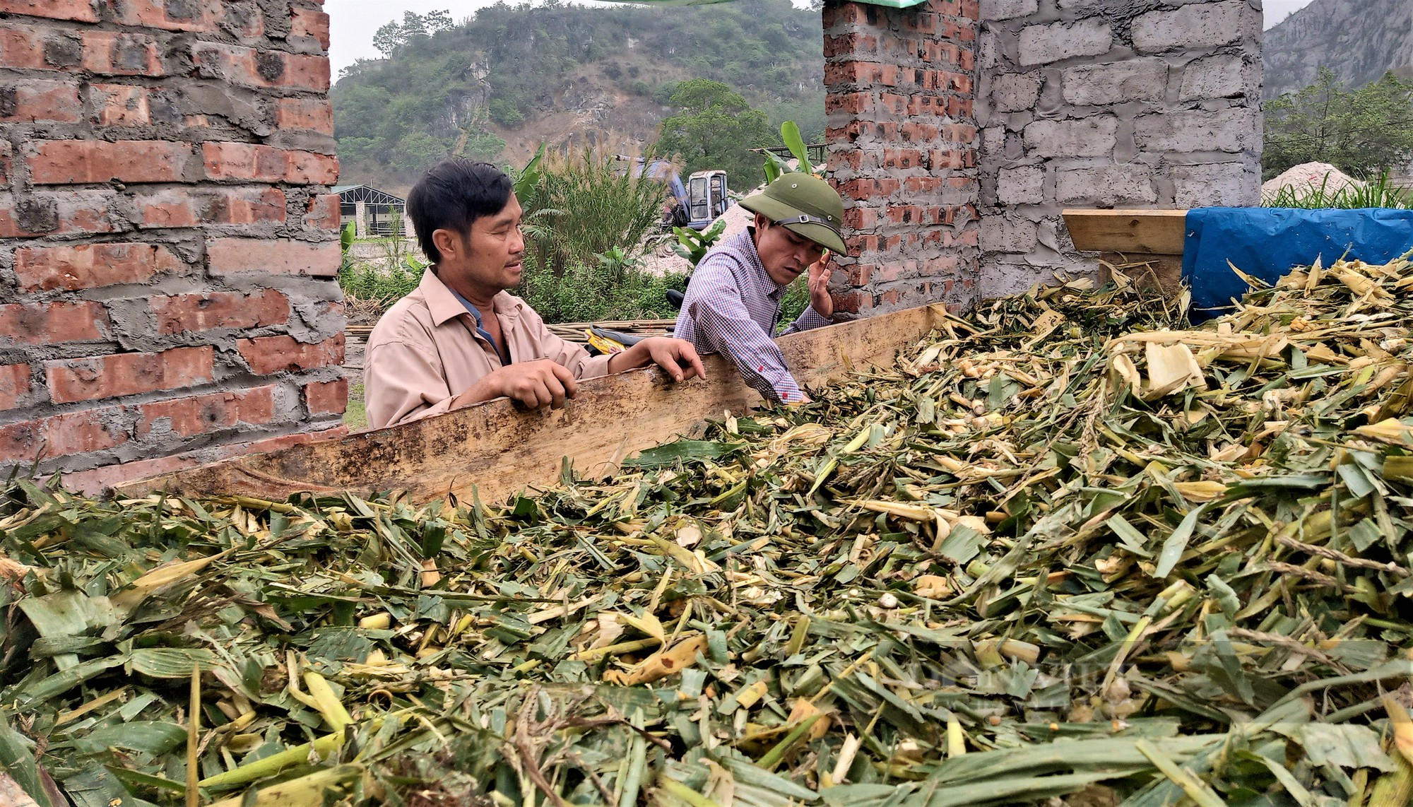 Hải Dương: Ra mắt chi hội nghề nghiệp chăn nuôi dê thương phẩm, giúp nông dân làm giàu - Ảnh 7.