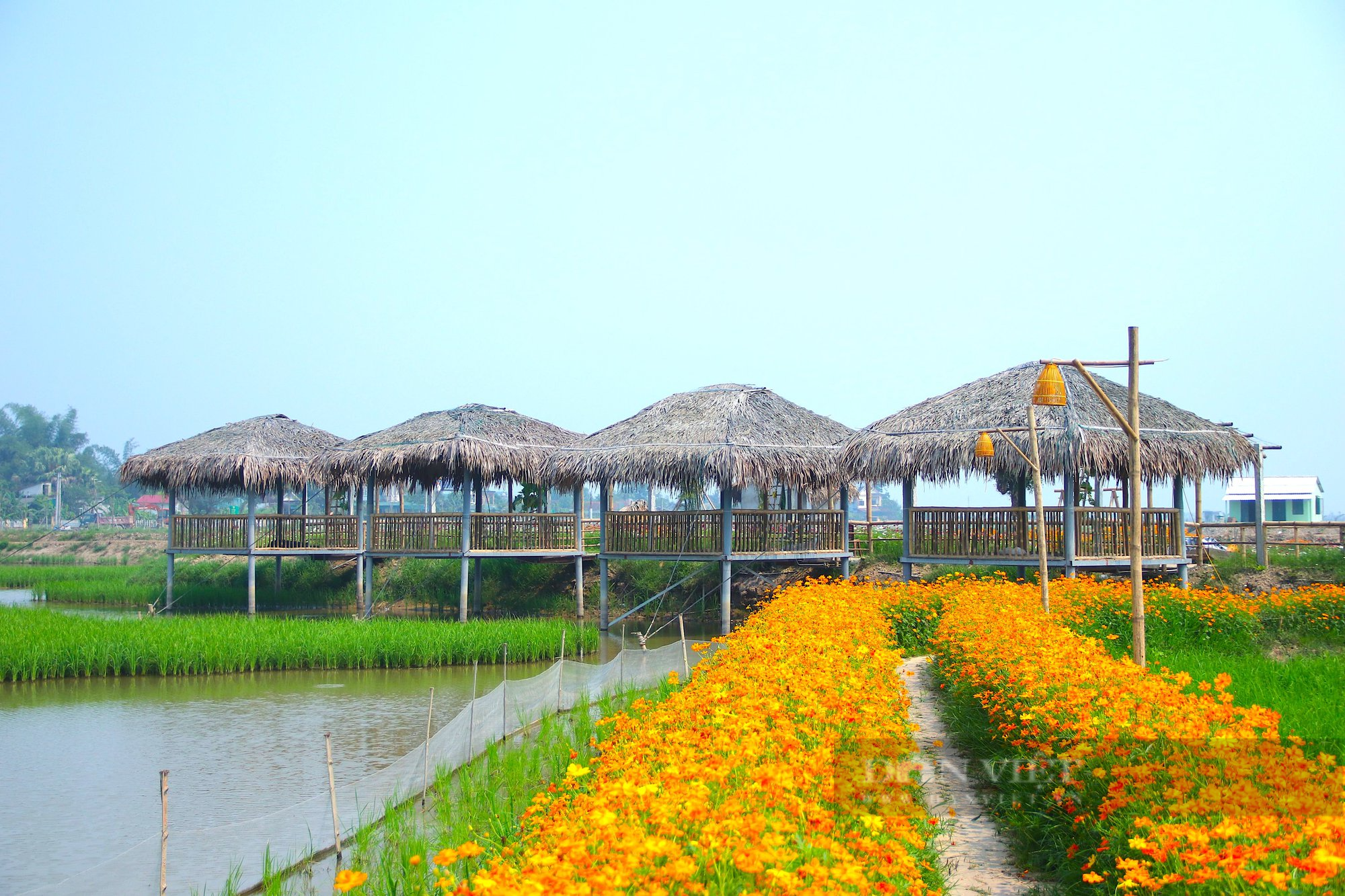 Hà Tĩnh: Mô hình nông nghiệp tuần hoàn “3 trong 1”, lợi nhuận hàng trăm triệu đồng mỗi năm - Ảnh 6.