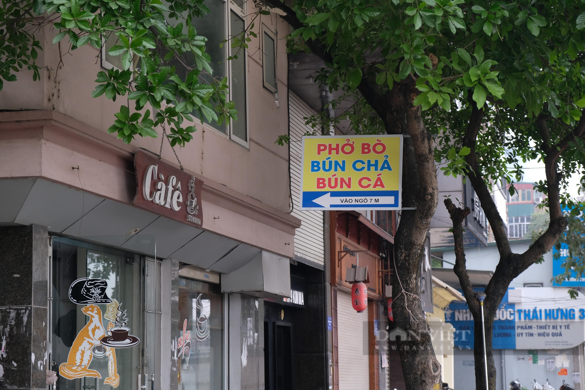 Quận Ba Đình: Hàng loạt cây xanh bị đóng đinh để treo bảng hiệu - Ảnh 9.