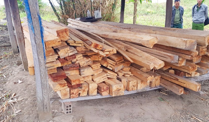 Gia Lai: Kỷ luật tập thể, cá nhân để xảy ra phá rừng ở Kbang và Kông Chro - Ảnh 2.