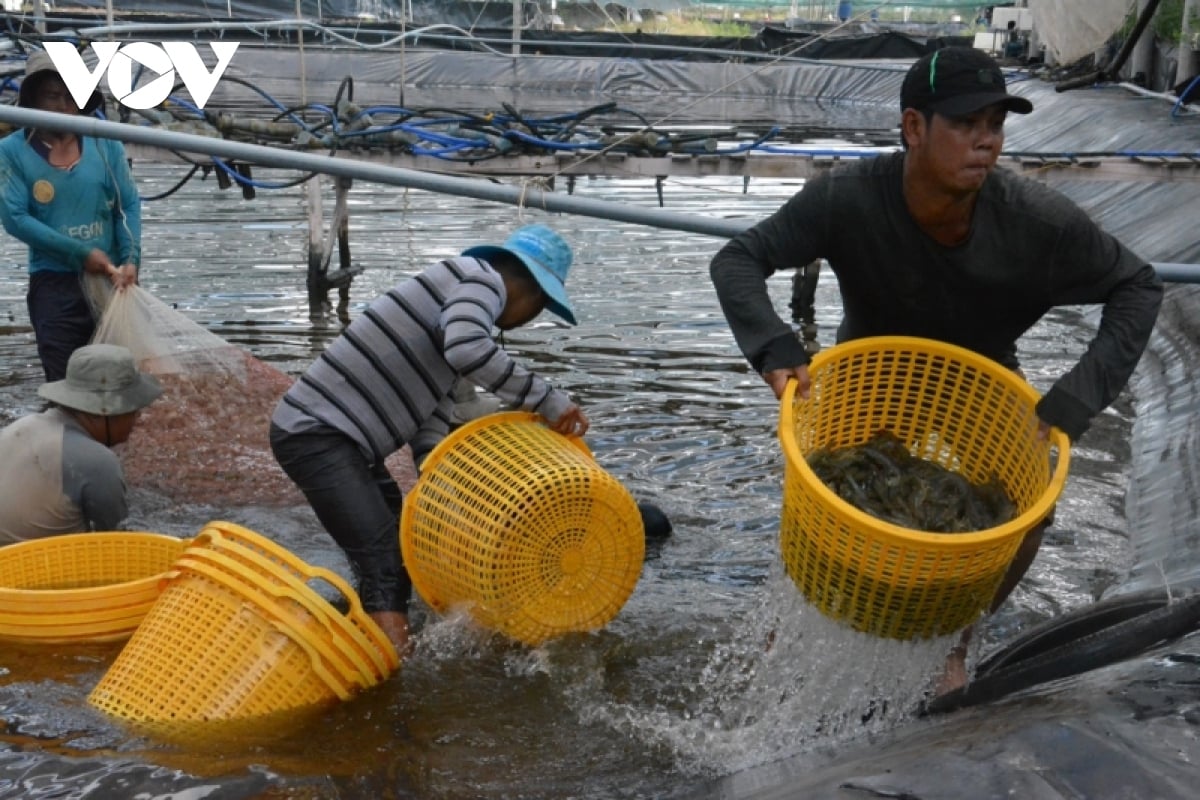 Hội chợ Triển lãm Quốc tế Công nghệ ngành tôm Việt Nam lần thứ 4 - Ảnh 1.