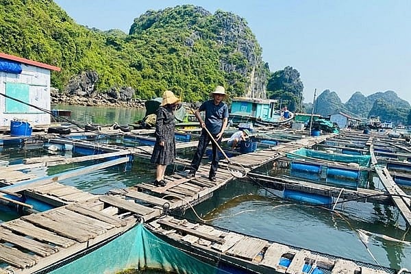 Làng chài Cái Bèo - ngôi làng cổ gần 7000 năm tuổi ở Hải Phòng - Ảnh 3.