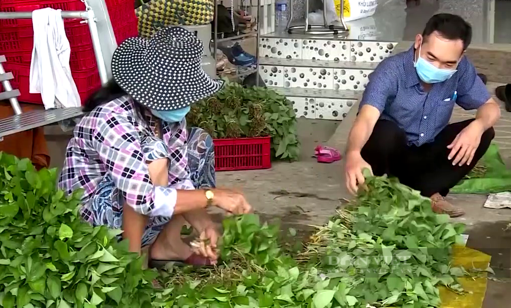 Trồng loại rau tanh tao khó ngửi, nhưng thương lái giành mua không kịp cắt, nông dân vùng này phất lên ngoạn mục - Ảnh 4.